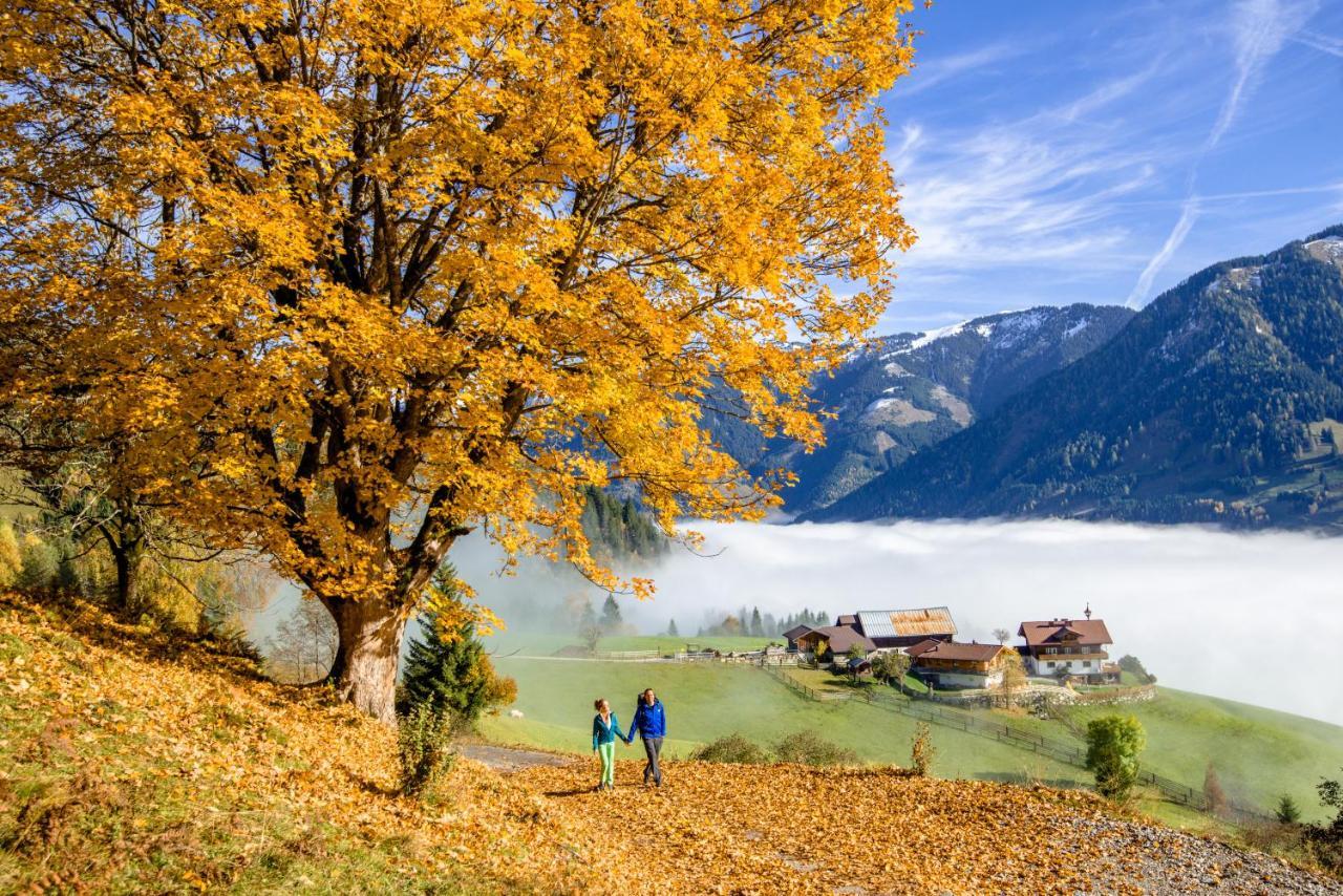 Alpine Appart Bad Hofgastein Exteriör bild
